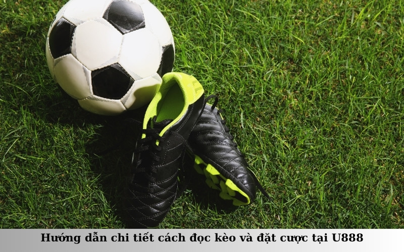 Hướng dẫn chi tiết cách đọc kèo và đặt cược tại U888