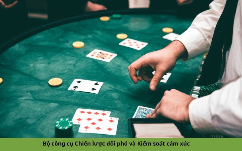 Bộ công cụ Chiến lược đối phó và Kiểm soát cảm xúc