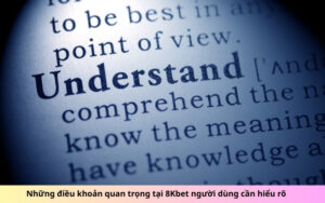 Những điều khoản quan trọng tại 8Kbet người dùng cần hiểu rõ